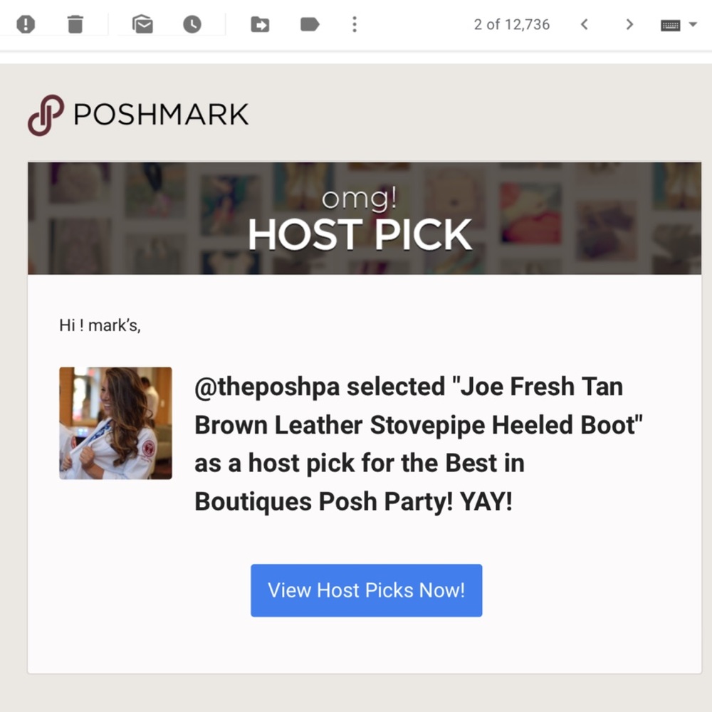 Host Pick! Leather Joe Fresh Boots!
